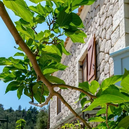 Averto 3* Áyios Nikítas