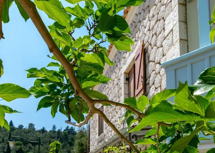 Averto 3* Áyios Nikítas